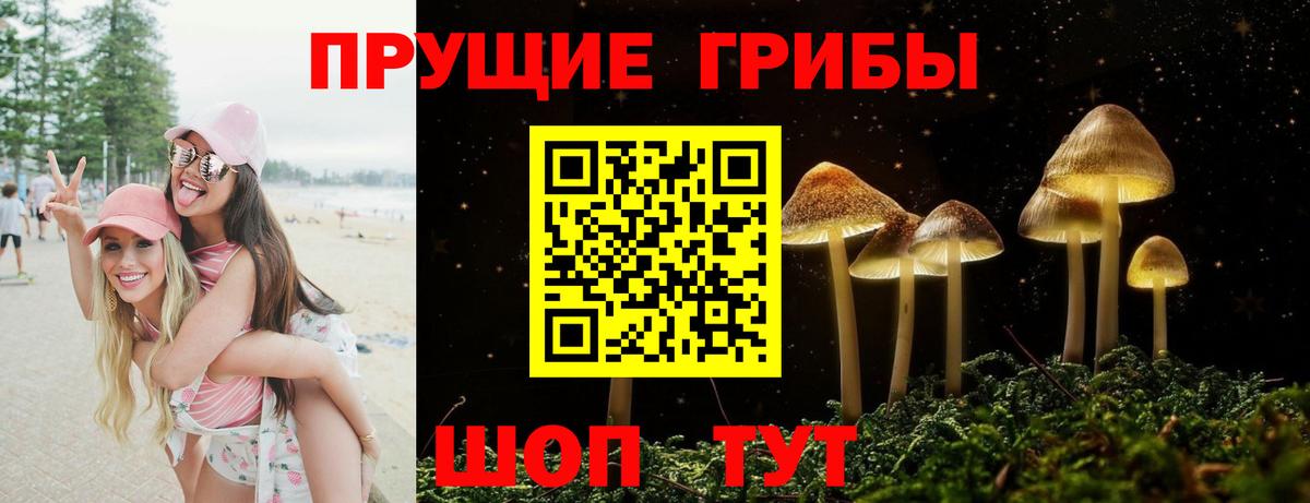 Галлюциногенные грибы ЛСД  Галлюциногенные грибы Cubensis  Вход с VPN  Дубна 